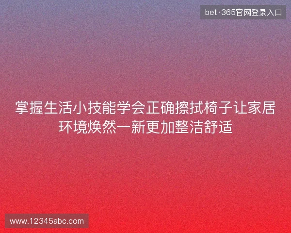 掌握生活小技能学会正确擦拭椅子让家居环境焕然一新更加整洁舒适