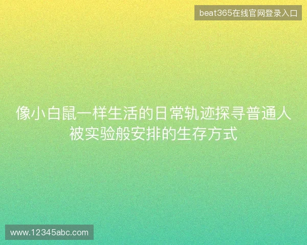 像小白鼠一样生活的日常轨迹探寻普通人被实验般安排的生存方式